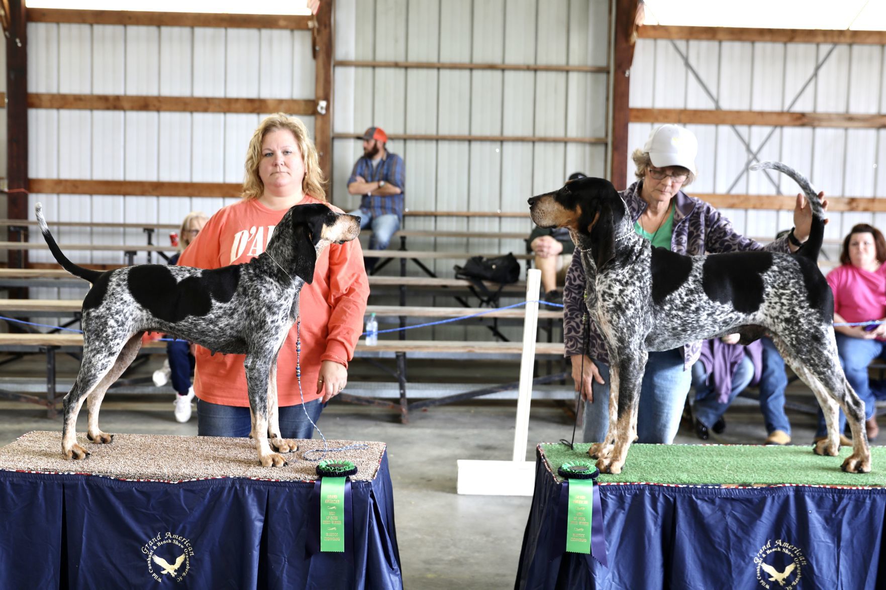 Grand American 2020